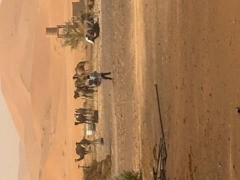 Distant camels gathered in a dusty desert camp under hazy light.