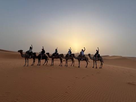 Line of tourists riding camels across Sahara dunes silhouetted against setting sun.