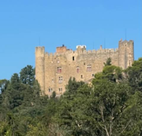 A trip to admire the beautiful scenery of the Rhône valley (port-to-port cruise) - MISTRAL customer review photo