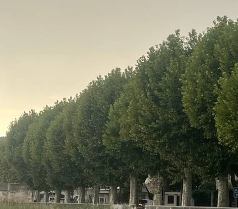 A trip to admire the beautiful scenery of the Rhône valley (port-to-port cruise) - MISTRAL customer review photo