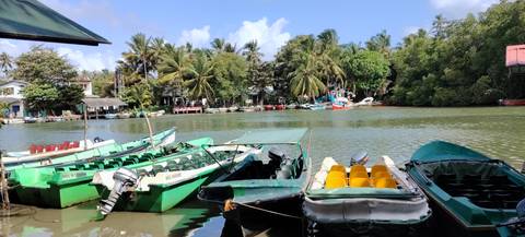 Row of small colorful motorboats moored on a calm tropical river lined with dense palms.