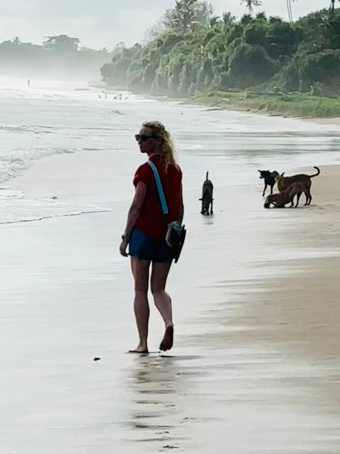 Woman walking along a beach while several dogs play near the surf.