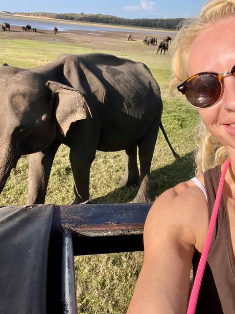 Partial selfie with woman and close elephant beside safari jeep.