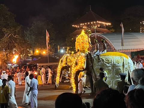 Nighttime Perahera procession with illuminated elephant and drummers in Kandy.