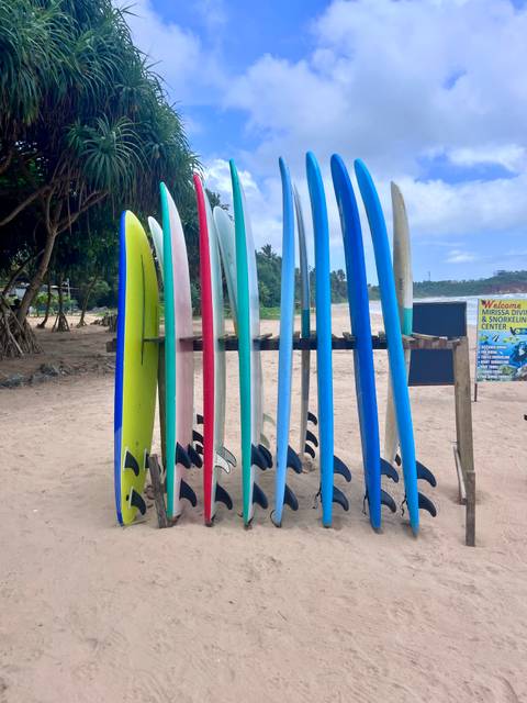 Row of colorful surfboards standing upright in a rack on a sandy beach with palm trees and ocean in the distance.