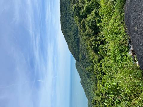 Sweeping coastal mountain vista with lush green slopes descending to the blue sea under clear sky.