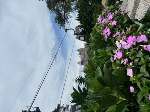 Flower garden with overhead cable car line and fairytale castle visible in background.