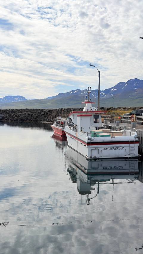 Two small fishing boats moored at a calm harbor with distant mountains under a soft sky.