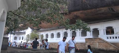 Crowds explore the white-walled Dambulla cave temple complex built beneath an overhanging rock.