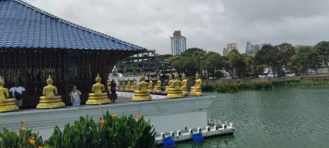 Golden Buddha statues lined up on a lakeside platform with Colombo city skyline in the background.