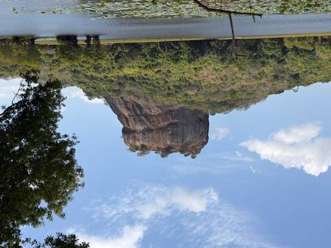 Iconic Sigiriya Rock rises above lush green forest under a bright blue sky with scattered clouds.