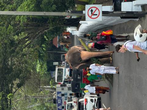 An elephant walks down a city street accompanied by handlers and onlookers amid traffic.