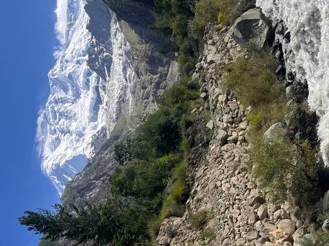 Mountain stream flowing through a rocky gorge with a vast glacier-covered peak rising above the treeline.