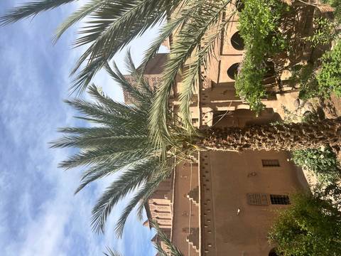 Palm tree framed against adobe-style kasbah walls under a bright blue sky.