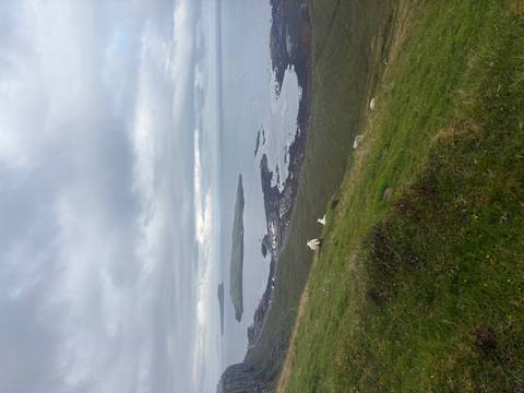 Expansive cliff-lined coastline and islands seen from a grassy hillside dotted with sheep.