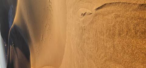 Golden desert dunes with soft curved lines and tracks lit by warm low sunlight.