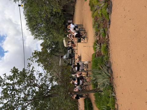 Travel group relaxes in canvas chairs at a sandy campsite surrounded by greenery and safari vehicle.