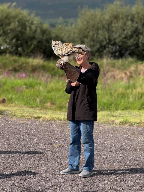Smiling woman holding a gloved falcon during an outdoor birds-of-prey experience in the Irish countryside