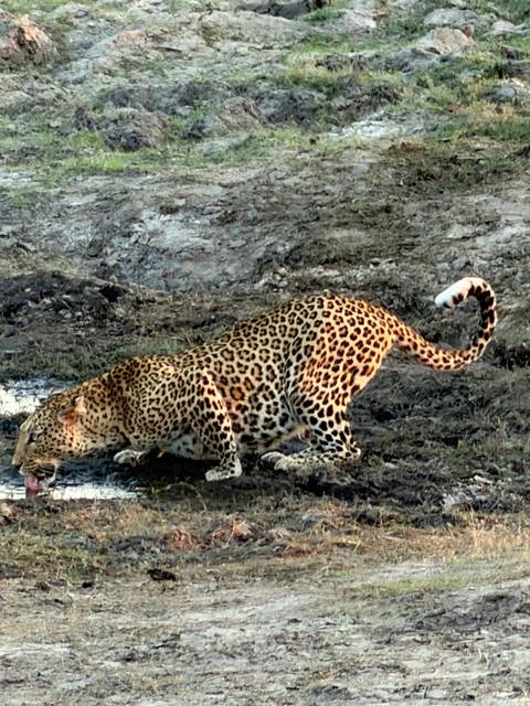 Unforgettable Africa: From Cape Town to the Okavango Delta customer review photo
