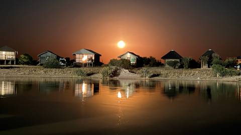 Unforgettable Africa: From Cape Town to the Okavango Delta customer review photo