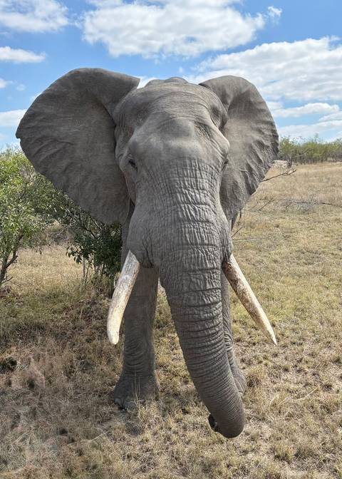 Unforgettable Africa: From Cape Town to the Okavango Delta customer review photo