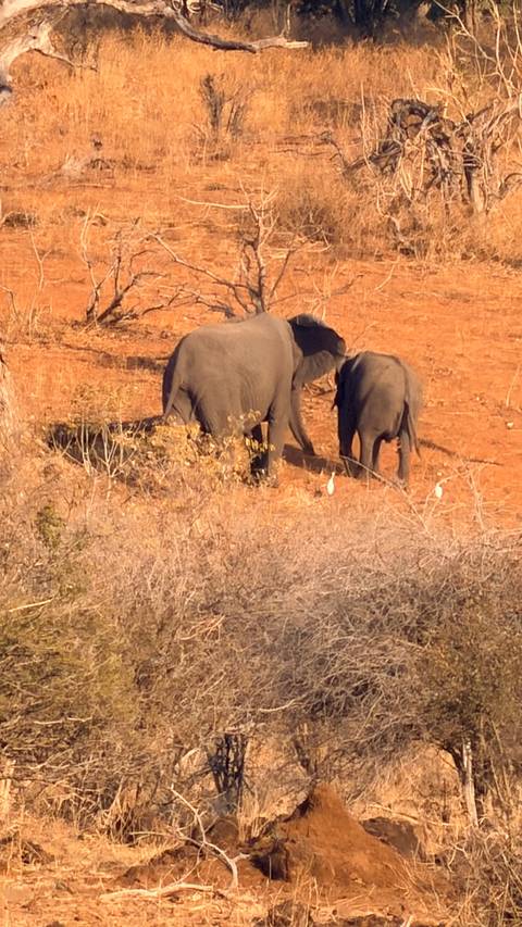 Unforgettable Africa: From Cape Town to the Okavango Delta customer review photo
