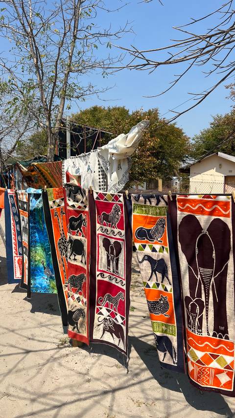 Unforgettable Africa: From Cape Town to the Okavango Delta customer review photo