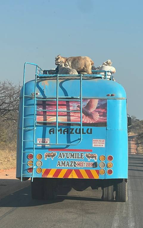 Unforgettable Africa: From Cape Town to the Okavango Delta customer review photo