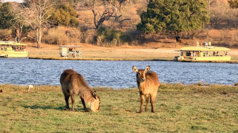 Unforgettable Africa: From Cape Town to the Okavango Delta customer review photo