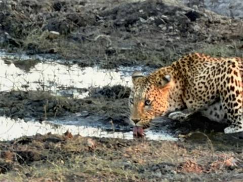 Unforgettable Africa: From Cape Town to the Okavango Delta customer review photo