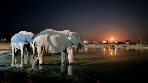 Unforgettable Africa: From Cape Town to the Okavango Delta customer review photo