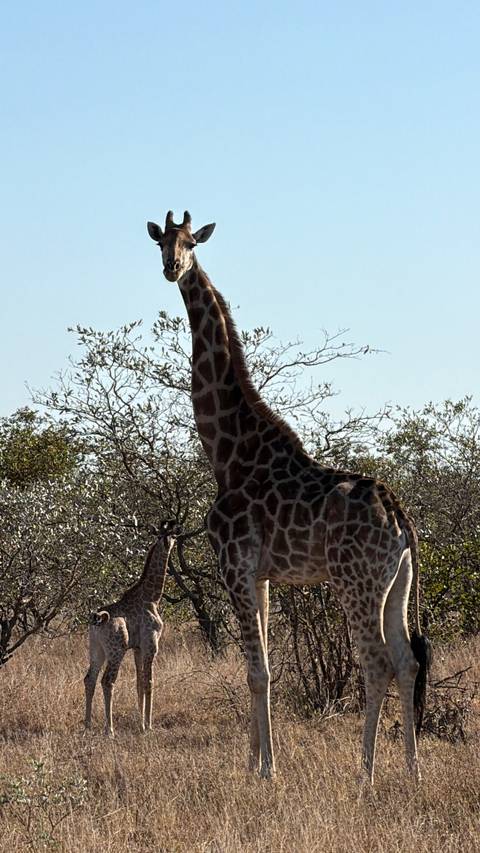 Unforgettable Africa: From Cape Town to the Okavango Delta customer review photo