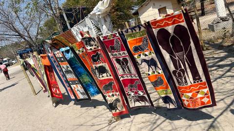 Unforgettable Africa: From Cape Town to the Okavango Delta customer review photo