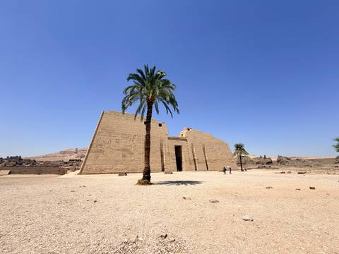 Wide view of a sandstone temple facade and lone palm tree under a brilliant blue sky.