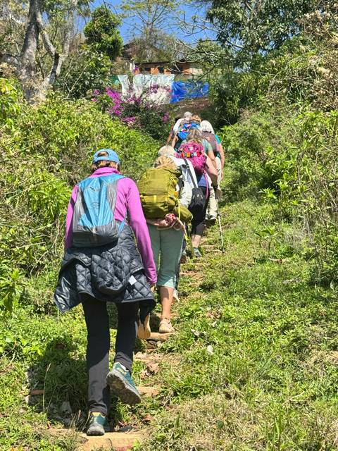 Line of hikers ascending a lush green hillside trail with trekking poles and backpacks.
