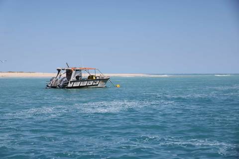 Small aluminum boat floating on clear blue sea near a sandy shoreline on a calm sunny day.