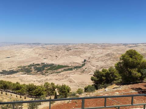 Expansive view of dry valleys and farmland from a high desert overlook with a lone pine.