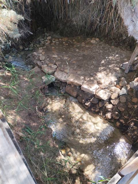 Shallow stream flowing beneath a small stone bridge in a shaded, natural setting.