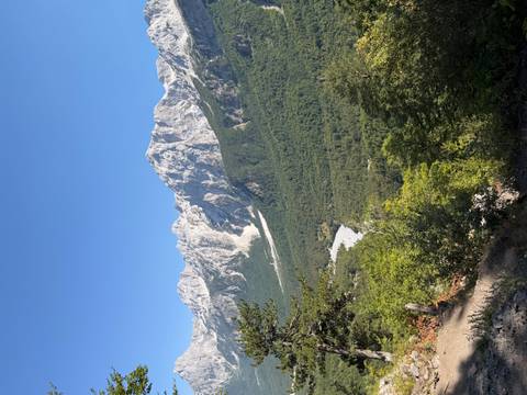 Tall grey limestone mountains rise above dense green forest in bright sunshine.