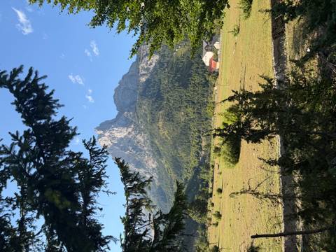 Pastoral meadow framed by evergreen branches with a dramatic rocky peak in the distance.