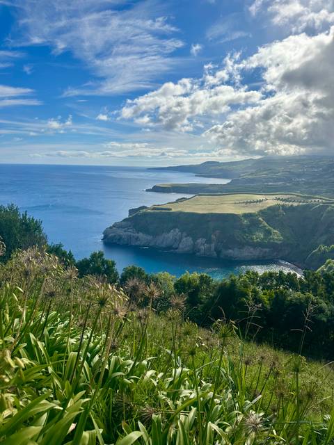 Dramatic coastal cliffs and deep blue Atlantic waters framed by green fields on a sunny day.