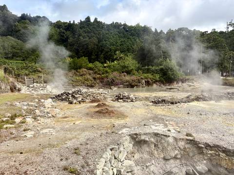 Steaming geothermal vents and bubbling pools in a volcanic landscape surrounded by forest.
