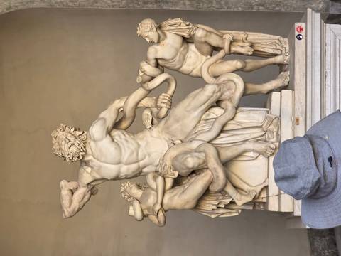 Marble sculpture of Laocoön and his sons wrestling serpents displayed in a museum niche.