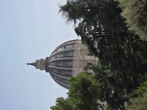 Close view of the dome of St. Peter's Basilica rising above treetops under a clear sky.