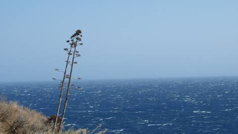 foto de reseña de cliente de Lo mejor de Grecia - 15 días - Atenas y 4 islas en 15 días (autoguiado)