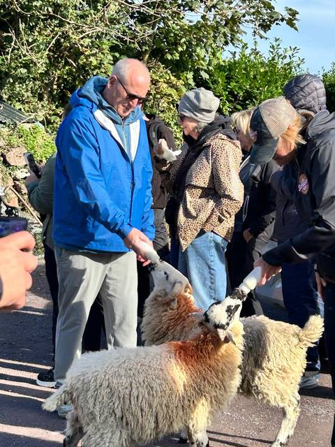 Photo d'avis client sur Circuit en petit groupe de 7 jours de l'Irlande à l'île