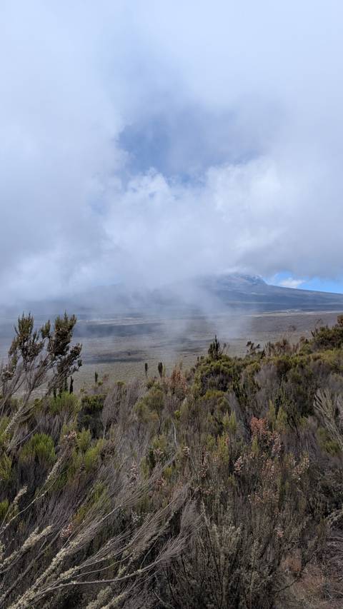 Misty plain with a cloud-shrouded volcanic peak emerging in the background.