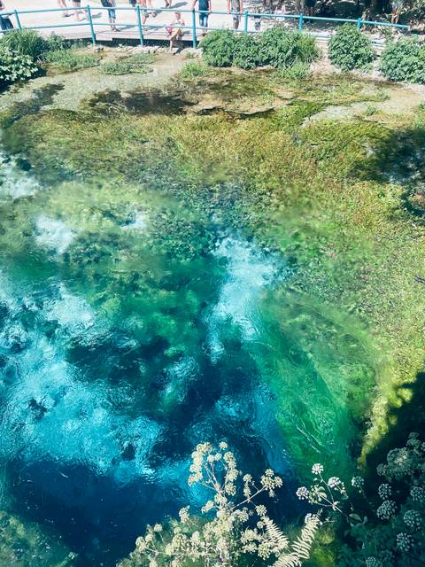 Abstract aerial view of brilliant turquoise and emerald spring water swirling over aquatic plants.
