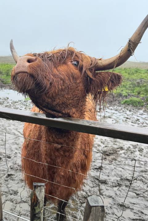 foto de reseña de cliente de Isla de Skye, lago Ness e Inverness