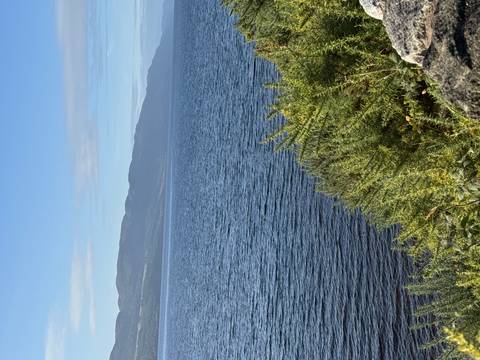foto de reseña de cliente de Isla de Skye, lago Ness e Inverness